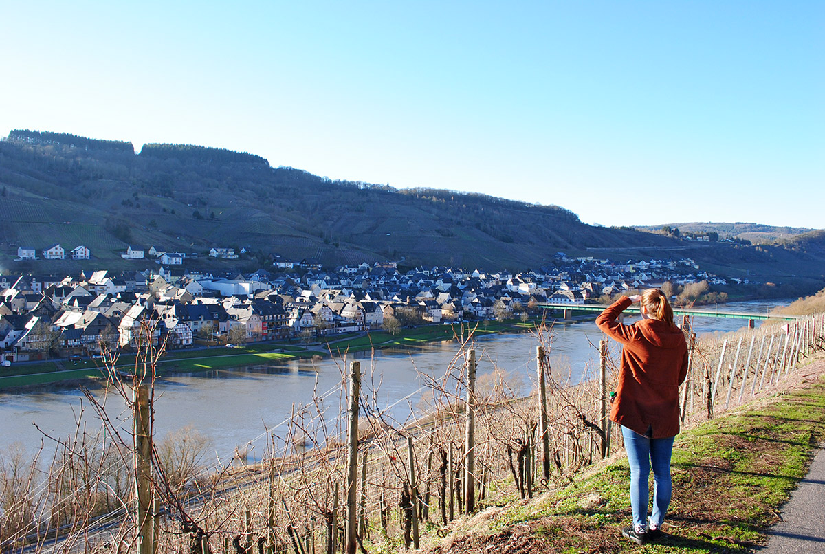 Weingut Schuh-Sausen Reil Mosel