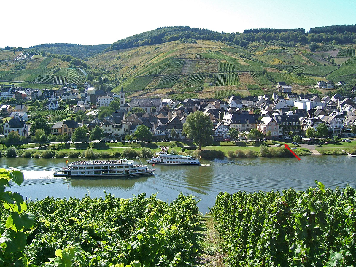 Weingut Schuh-Sausen Reil Mosel