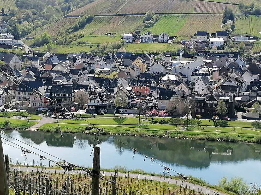 Weingut Schuh-Sausen Reil Mosel