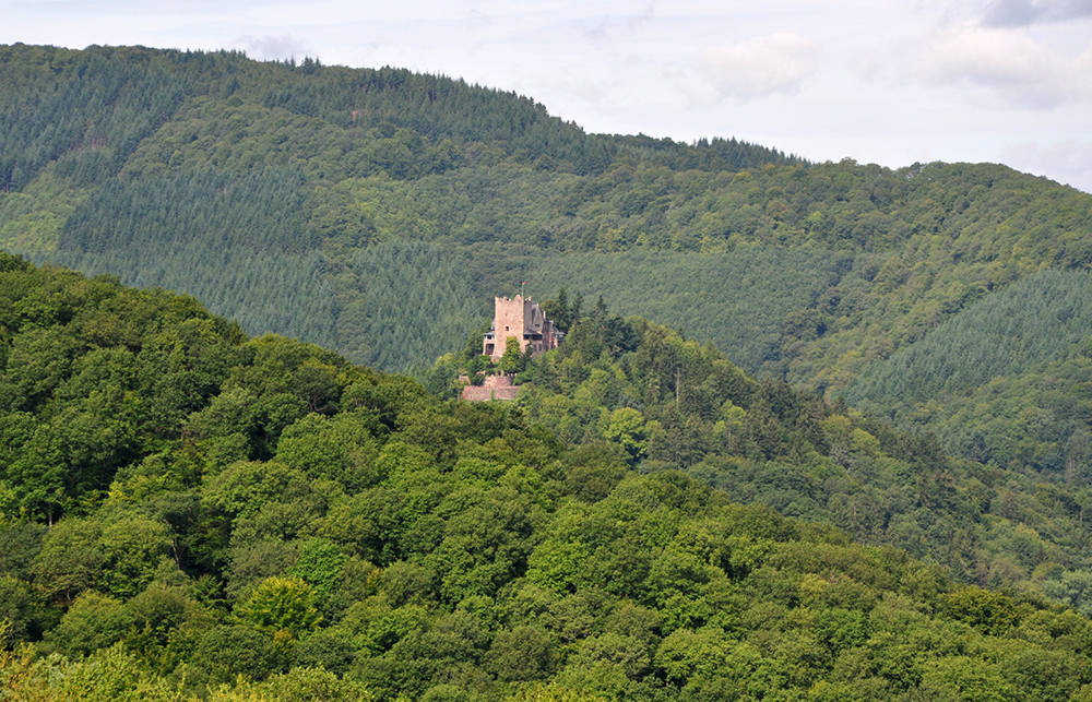 Weingut Schuh-Sausen Reil Mosel Planwagen
