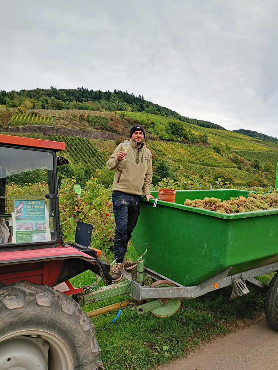 Weingut Schuh-Sausen Reil Mosel Weinlese