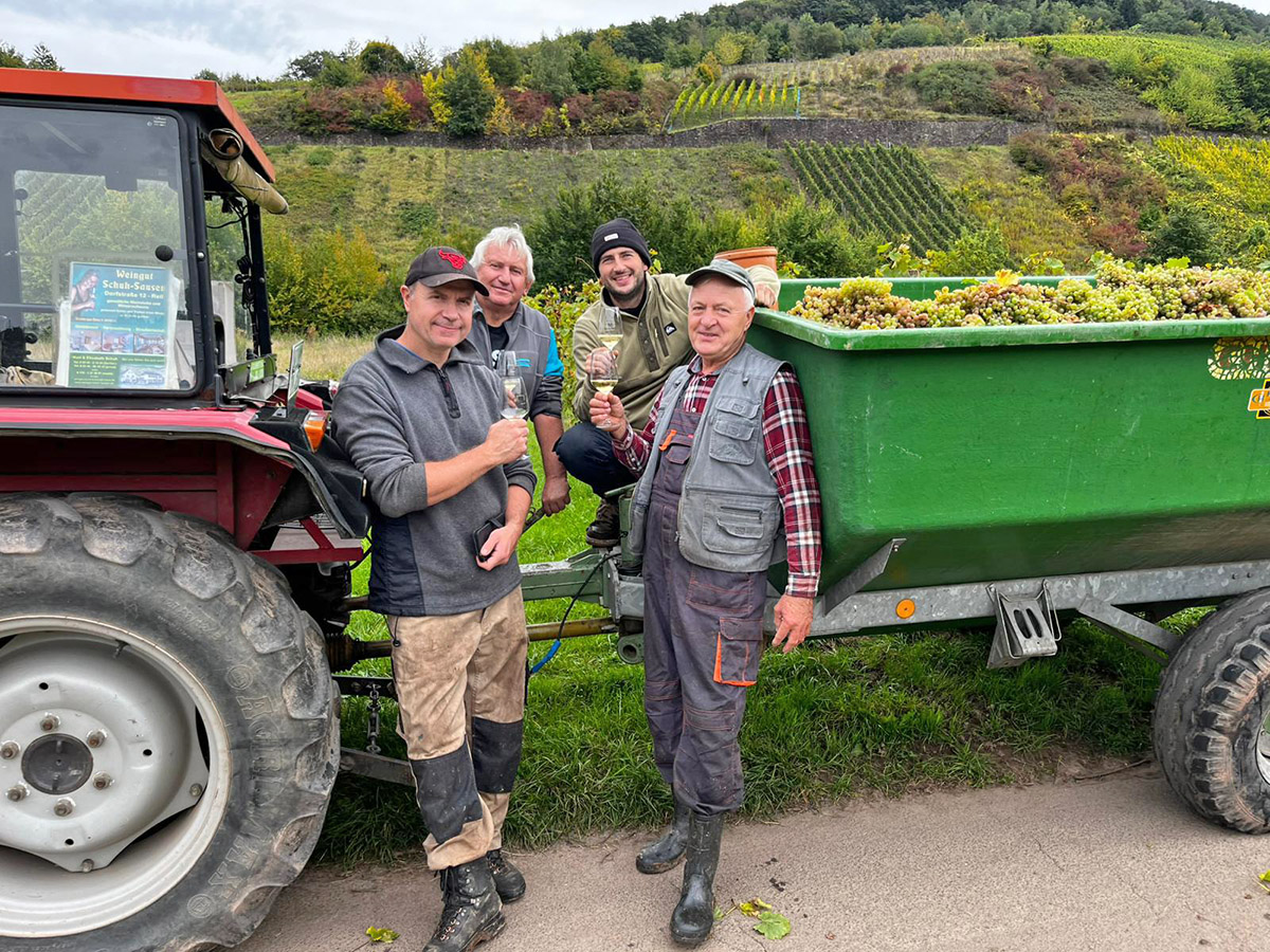 Weingut Schuh-Sausen Reil Mosel Weinlese