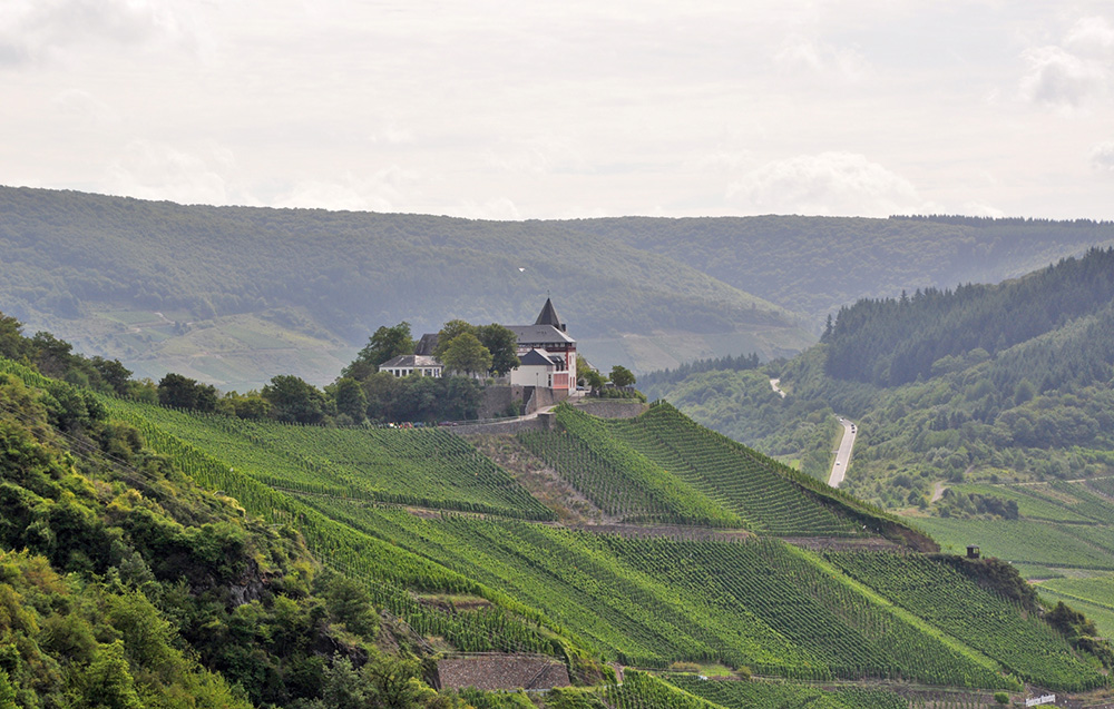 Weingut Schuh-Sausen Reil Mosel Planwagen