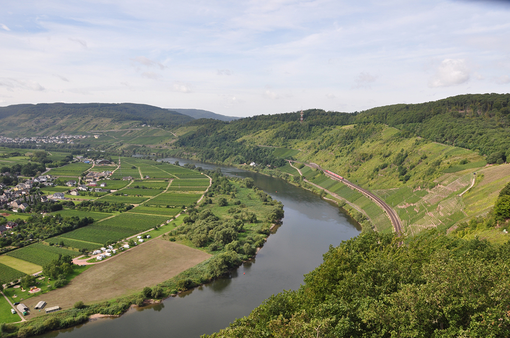 Weingut Schuh-Sausen Reil Mosel Planwagen
