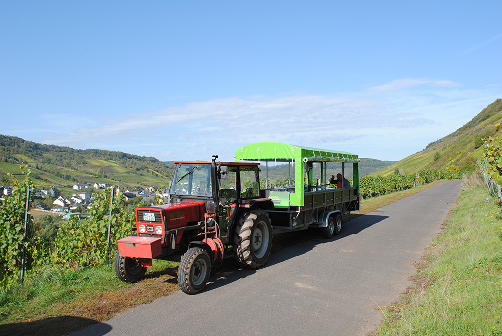 Weingut Schuh-Sausen Reil Mosel Planwagen