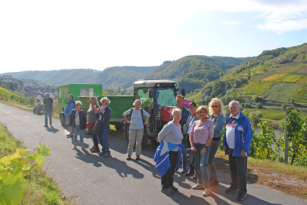 Weingut Schuh-Sausen Reil Mosel Planwagen
