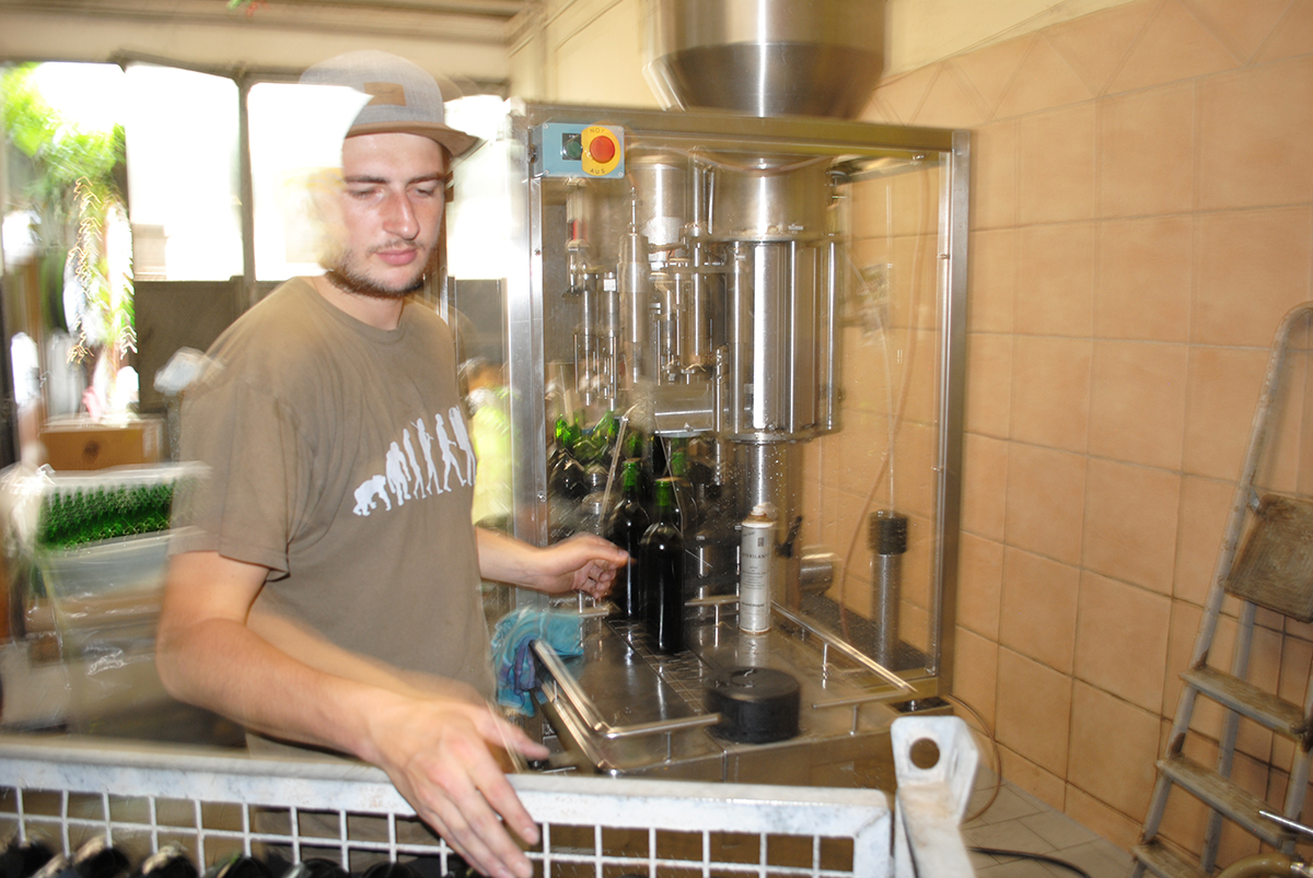 Weingut Schuh-Sausen Reil Mosel Wein Arbeit im Keller