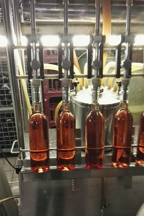 Weingut Schuh-Sausen Reil Mosel Wein Keller